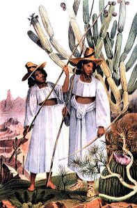 Tohono O'odham Women Picking Fruit