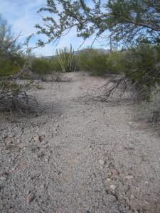 3295 migrant trail 1 13.12.16