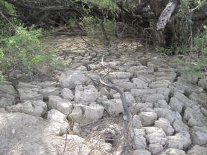 3309 Qbq pond bentonite 13.12.16