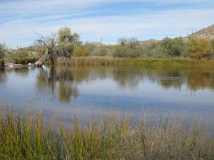 3310 Qbq pond from SE 13.12.16