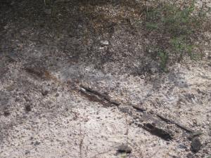 3314 Qbq pond pipe 13.12.16