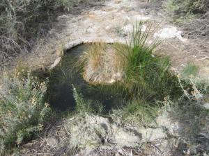 3322 Qbq springs ditch pool 1 13.12.16