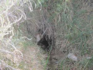 3335 Qbq springs zoom 2 13.12.16