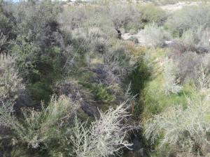 3337 Qbq springs fr above 13.12.16